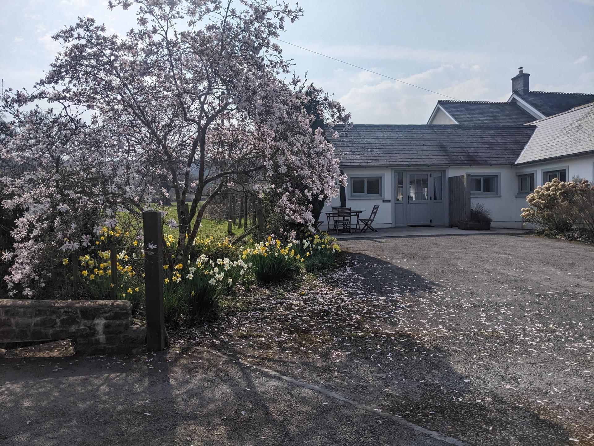 Dinefwr Cottage