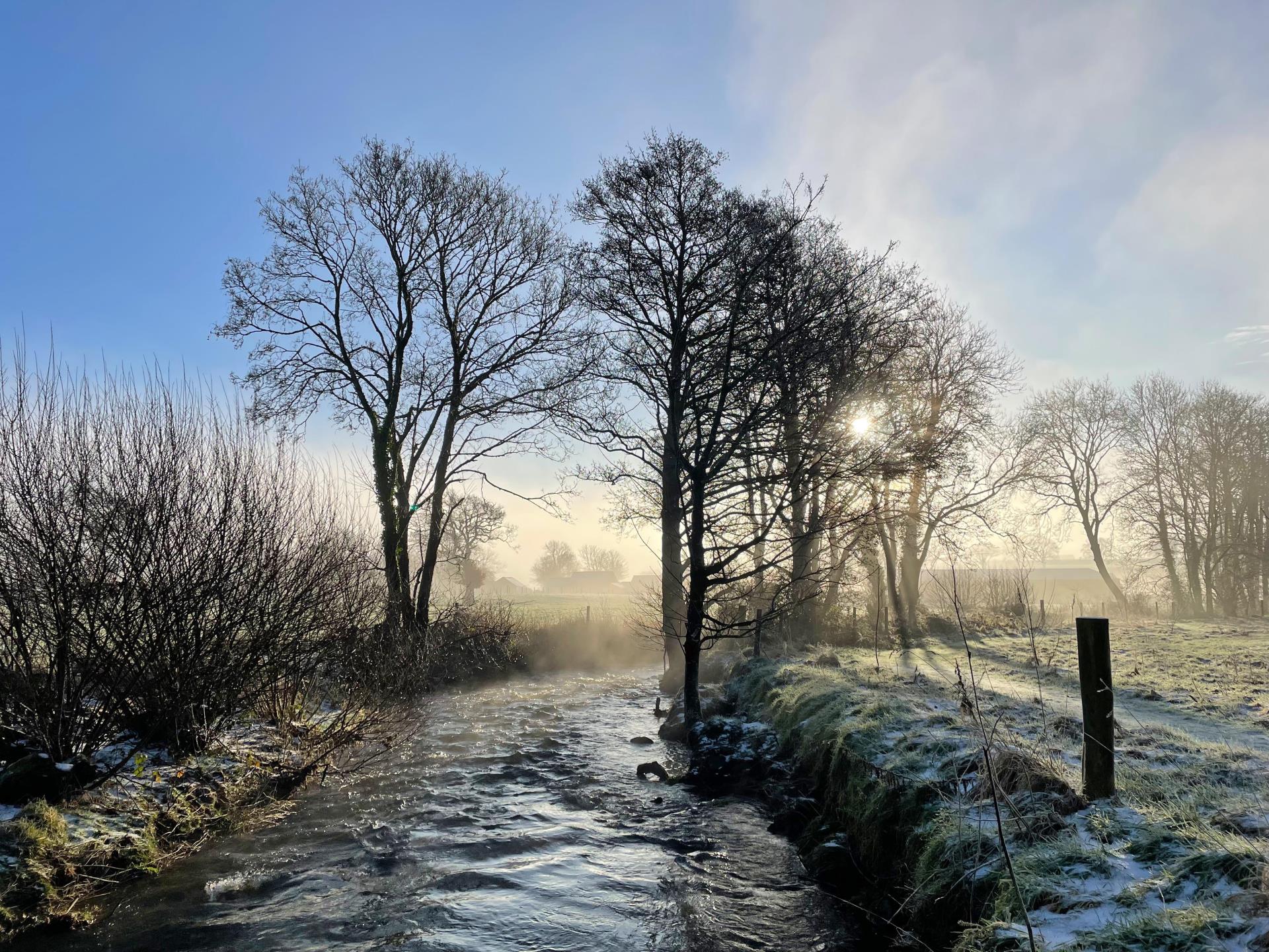 Stream in the winter