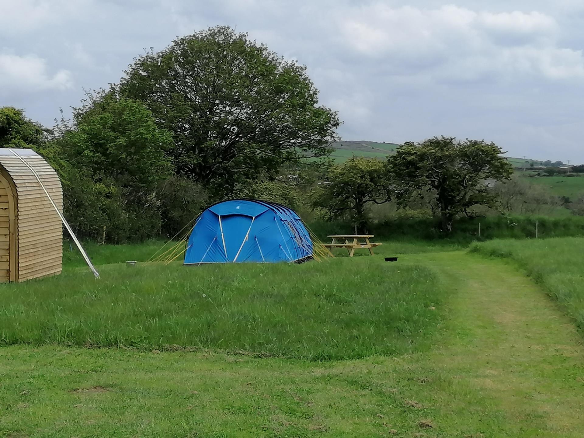 Spacious Pitches at Brynhaul Camping