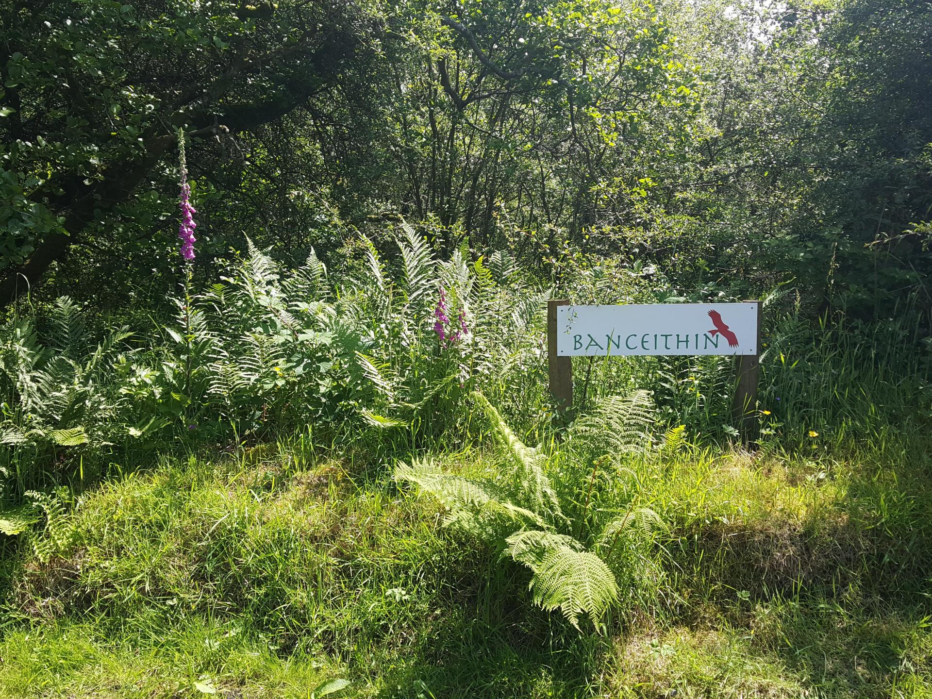 Entrance to the Banceithin Holiday Cottages drive