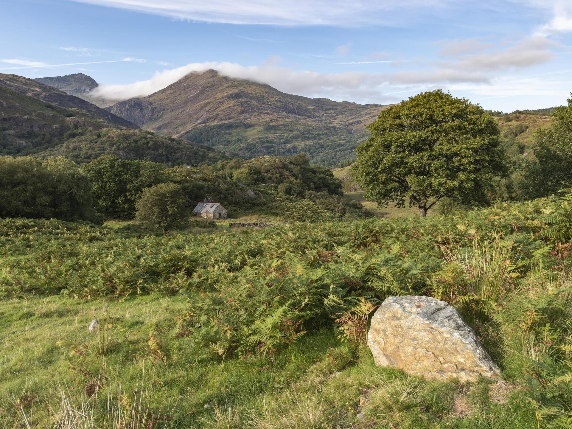 Llyndy Bothy 