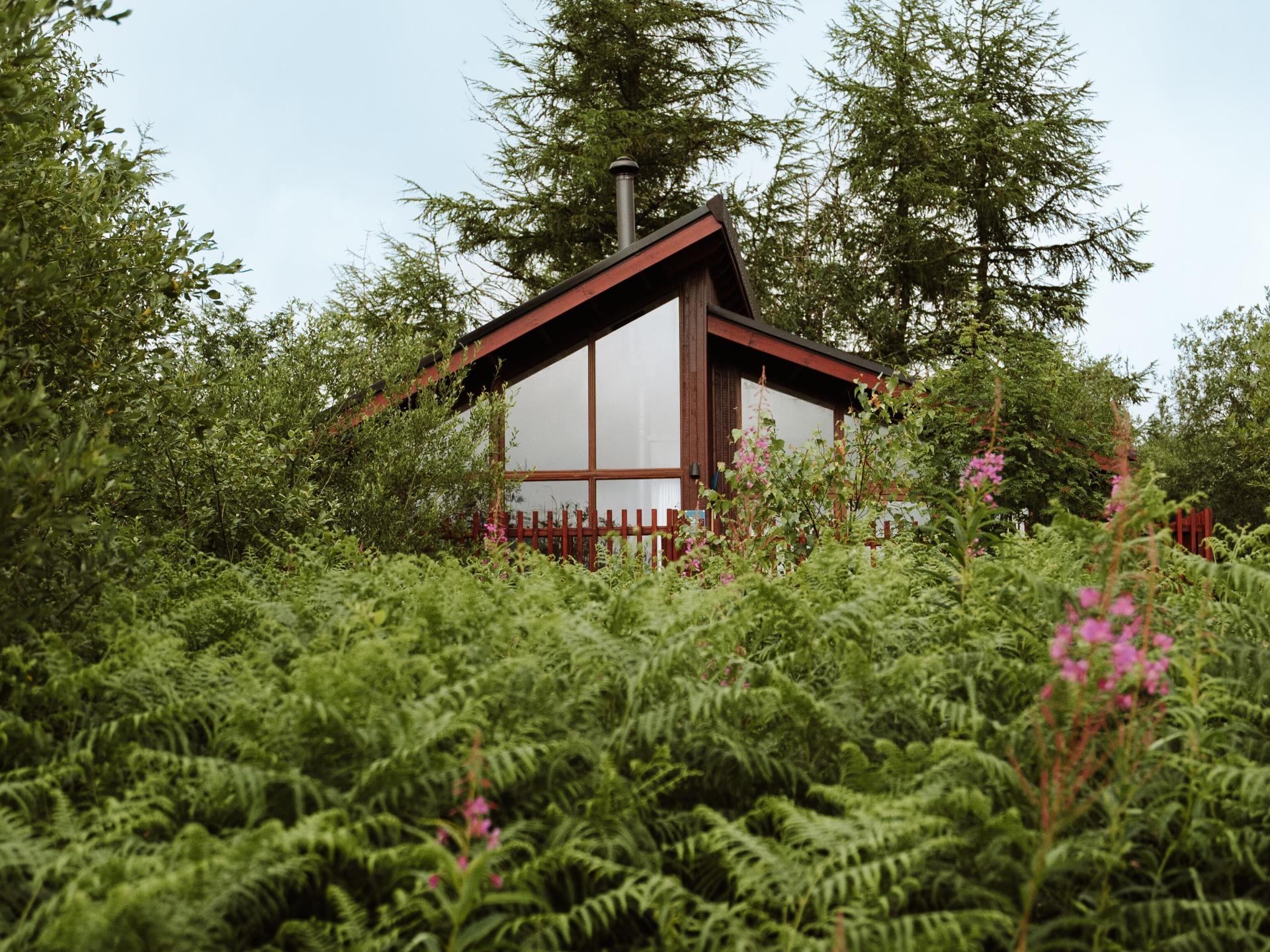 A cabin nestled at Garwnant, Bannau Brycheiniog