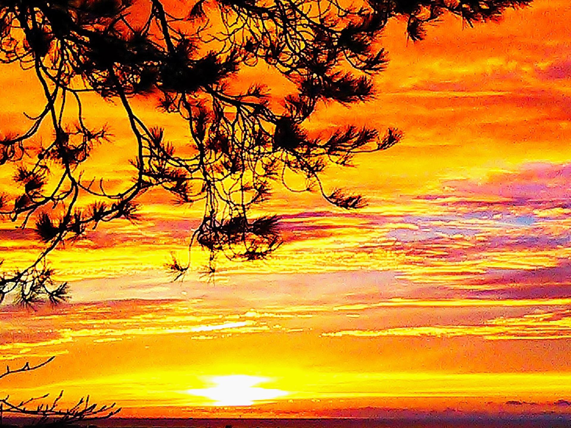 Sunset from the Cabin