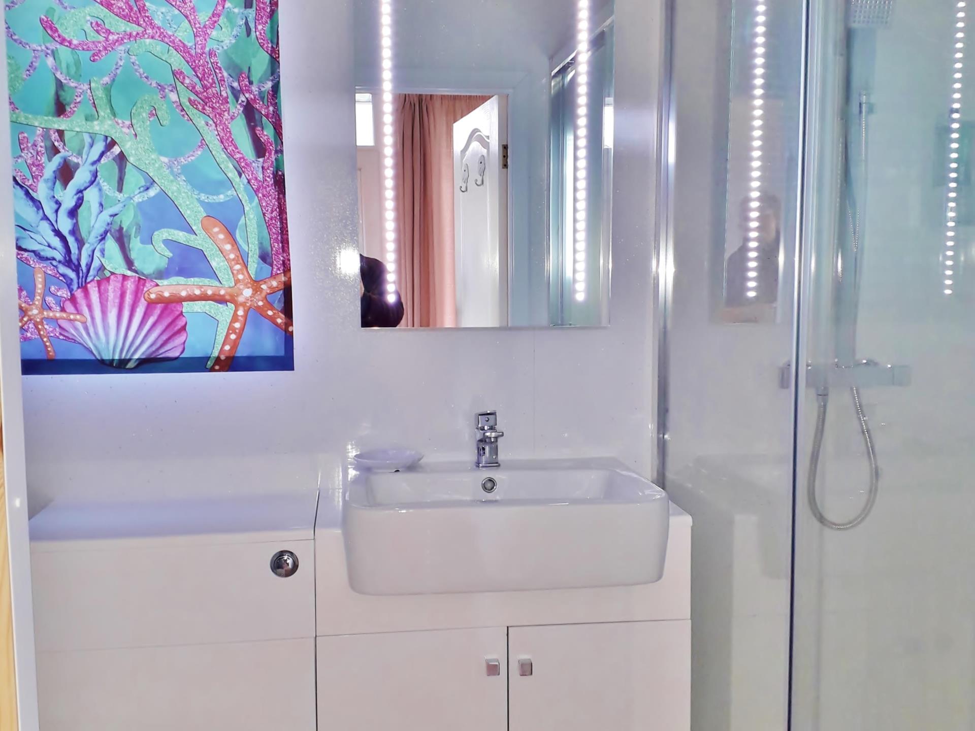 Bathroom with Rainfall Shower 