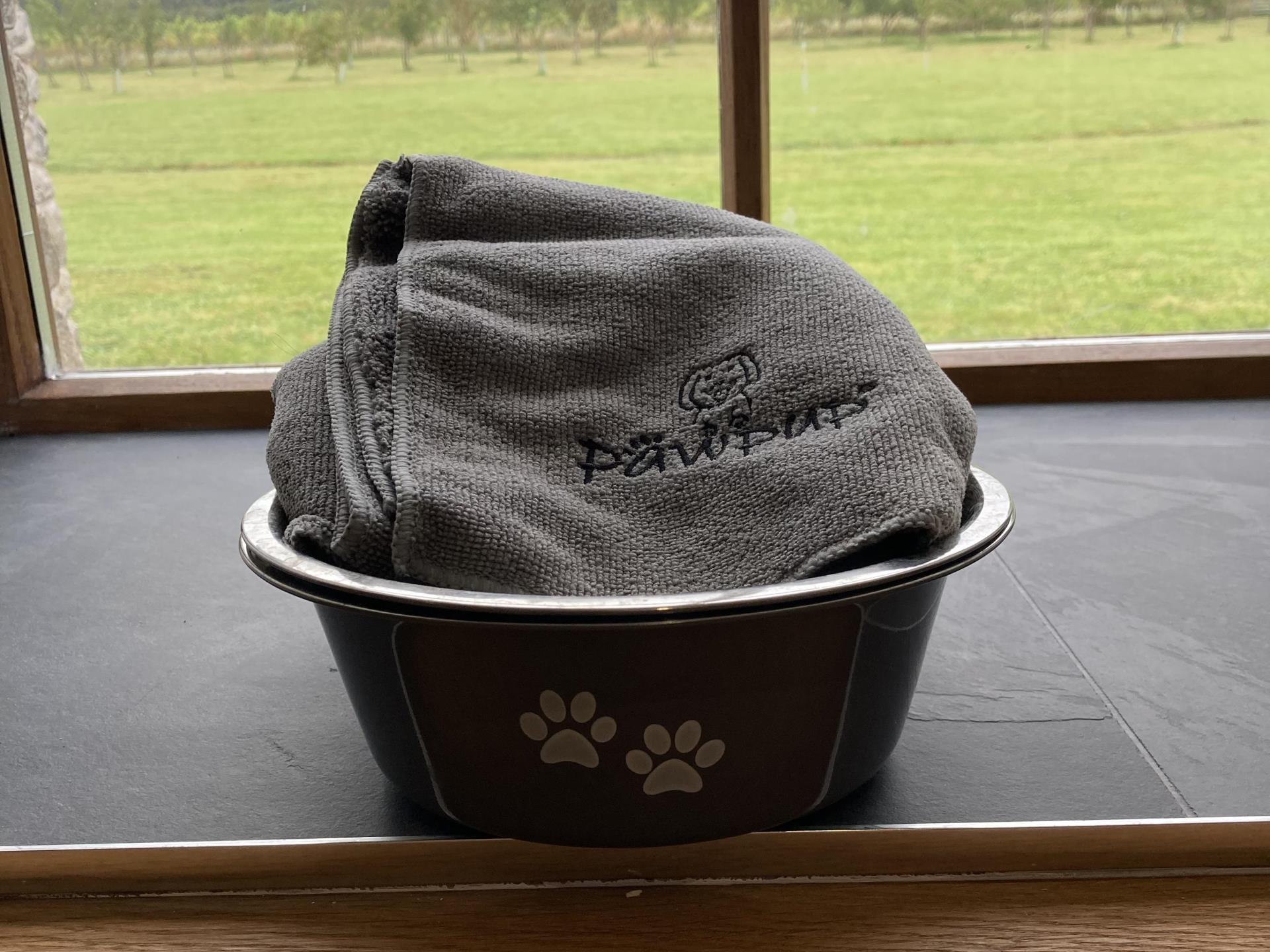 Dogs welcome