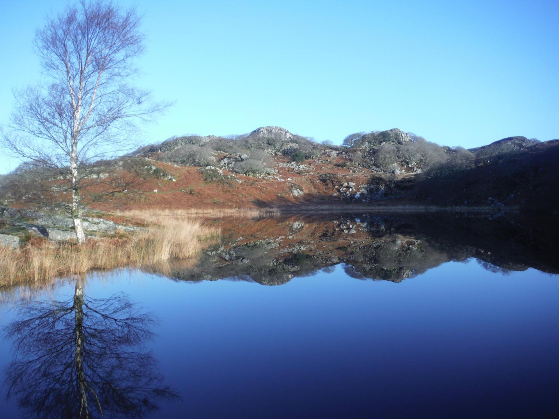 Dinas Lake