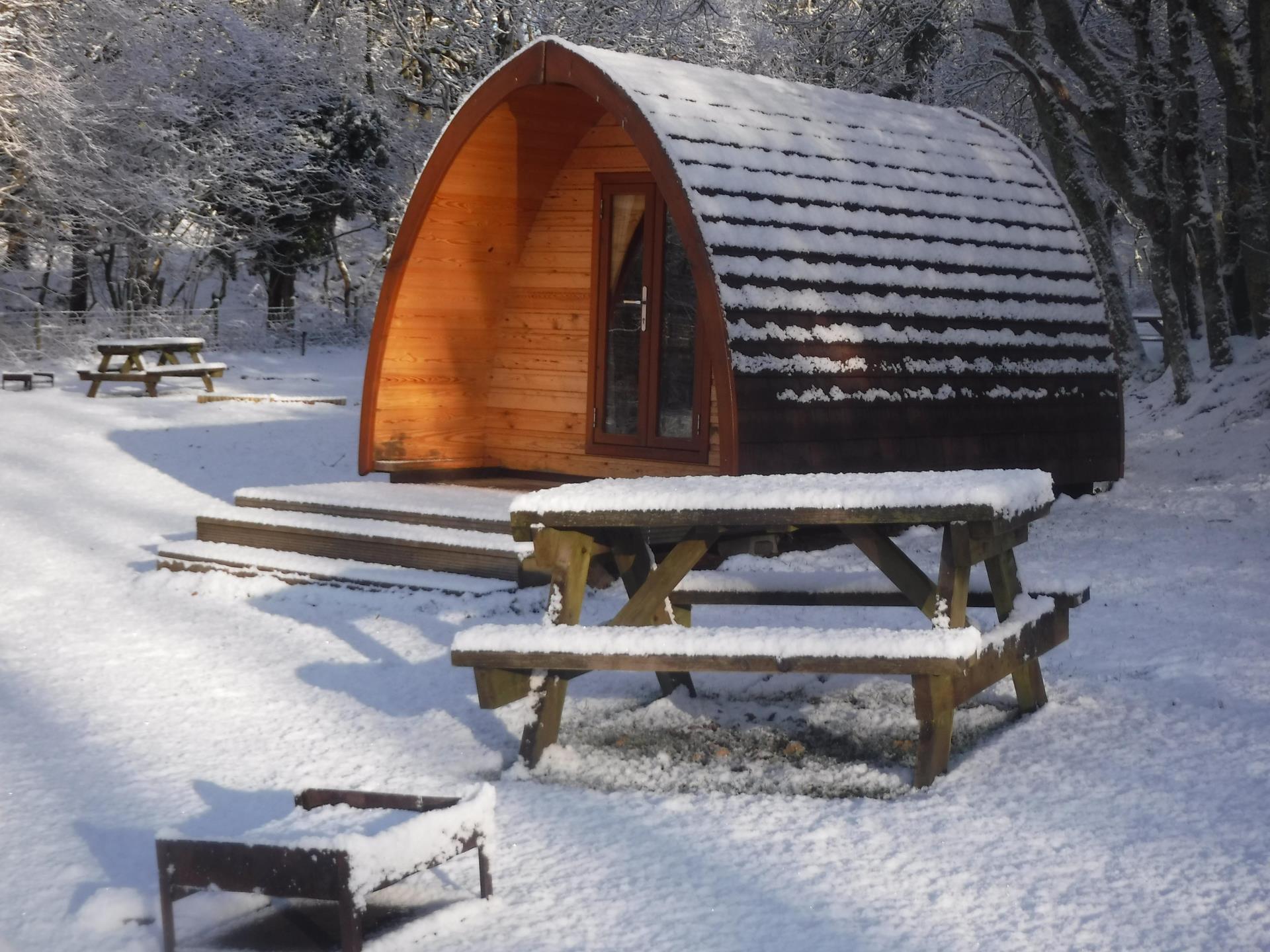 Pod in winter