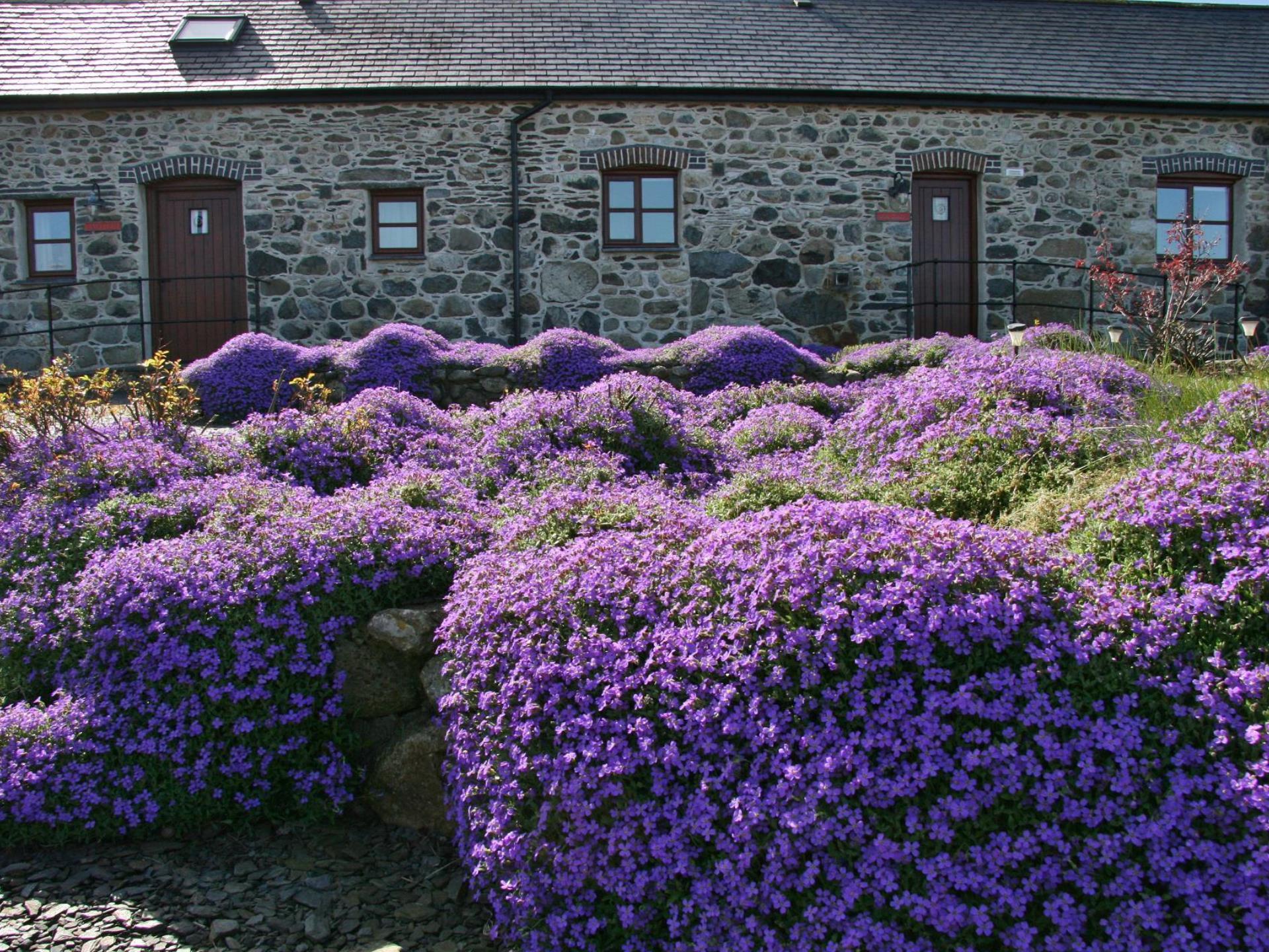 Hendy Farm Cottages