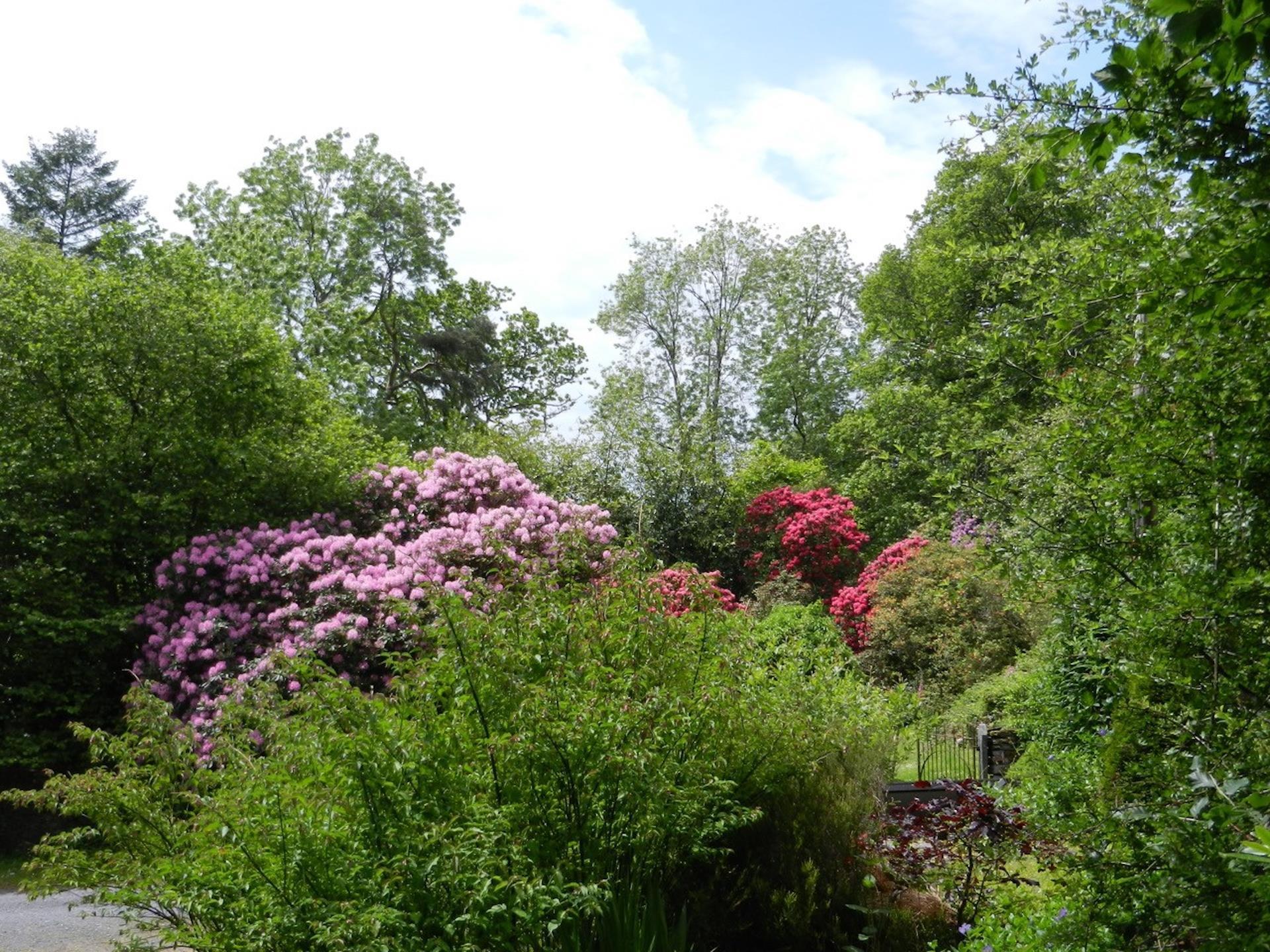 Yr Hen Stablau garden April/May