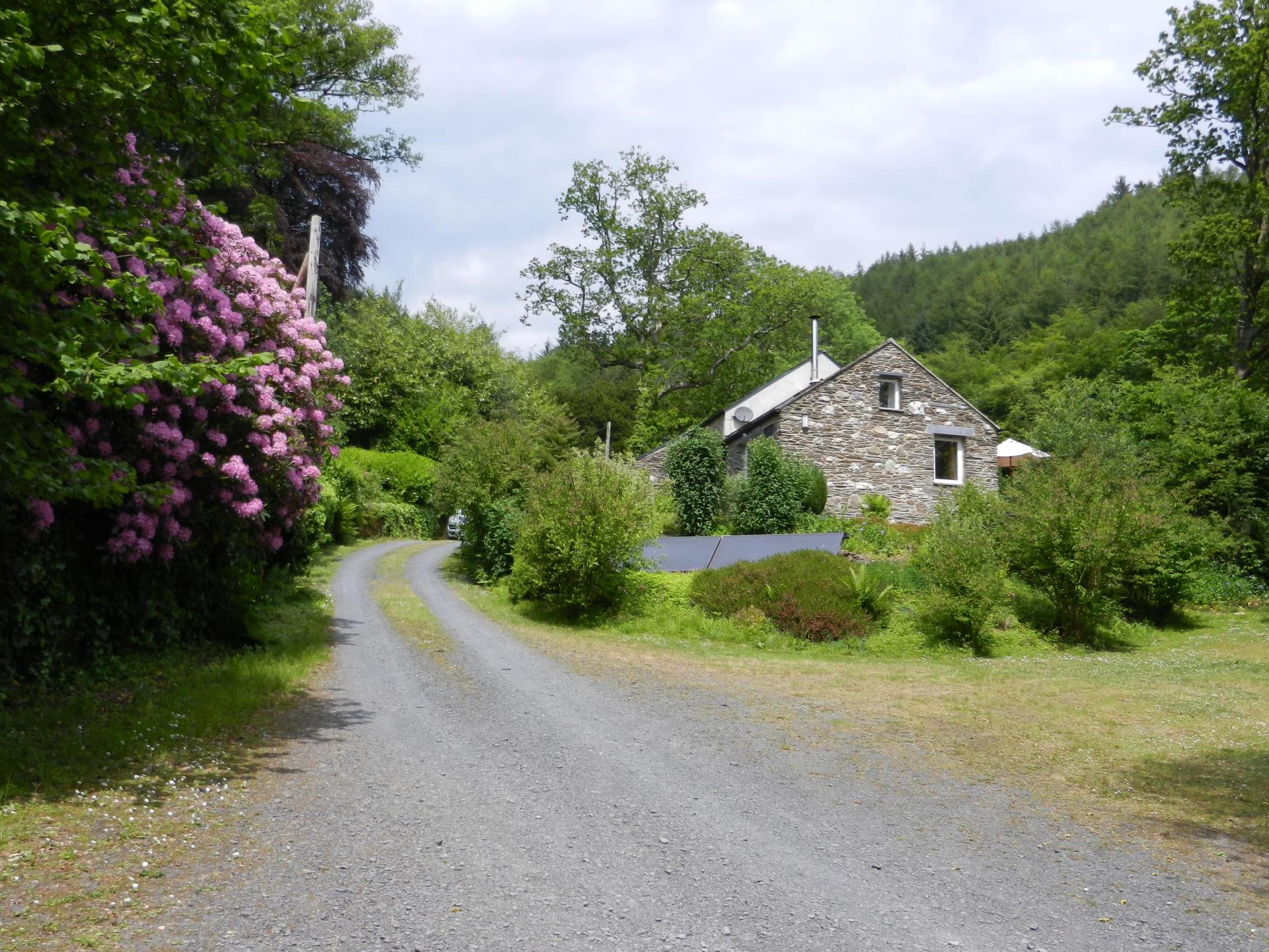 Yr Hen Stablau entrance in spring