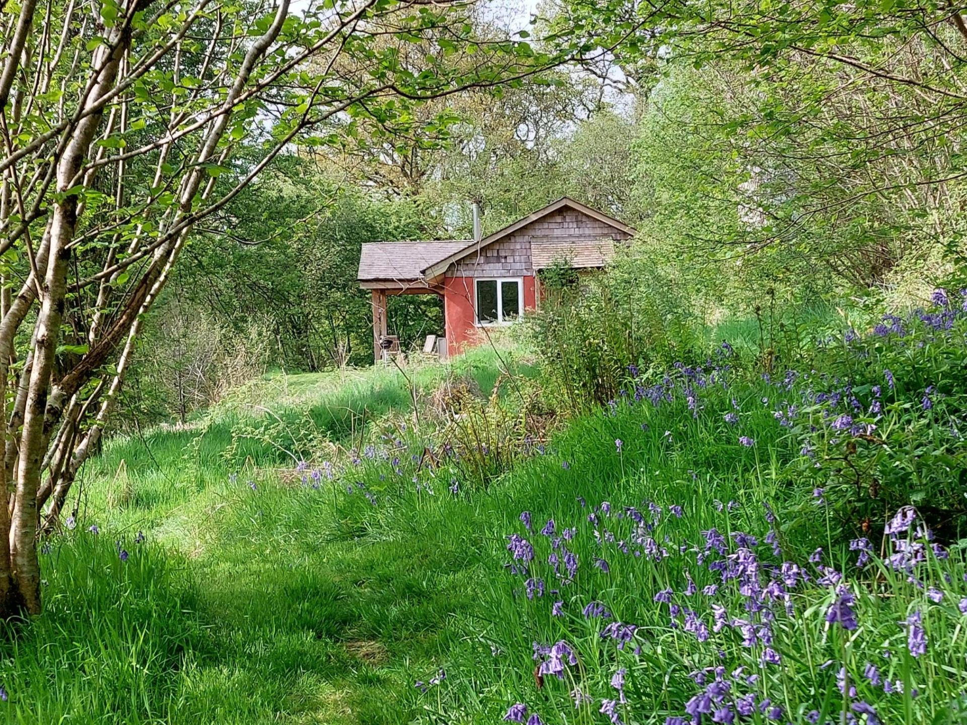 A bluebell path by the Straw cottage