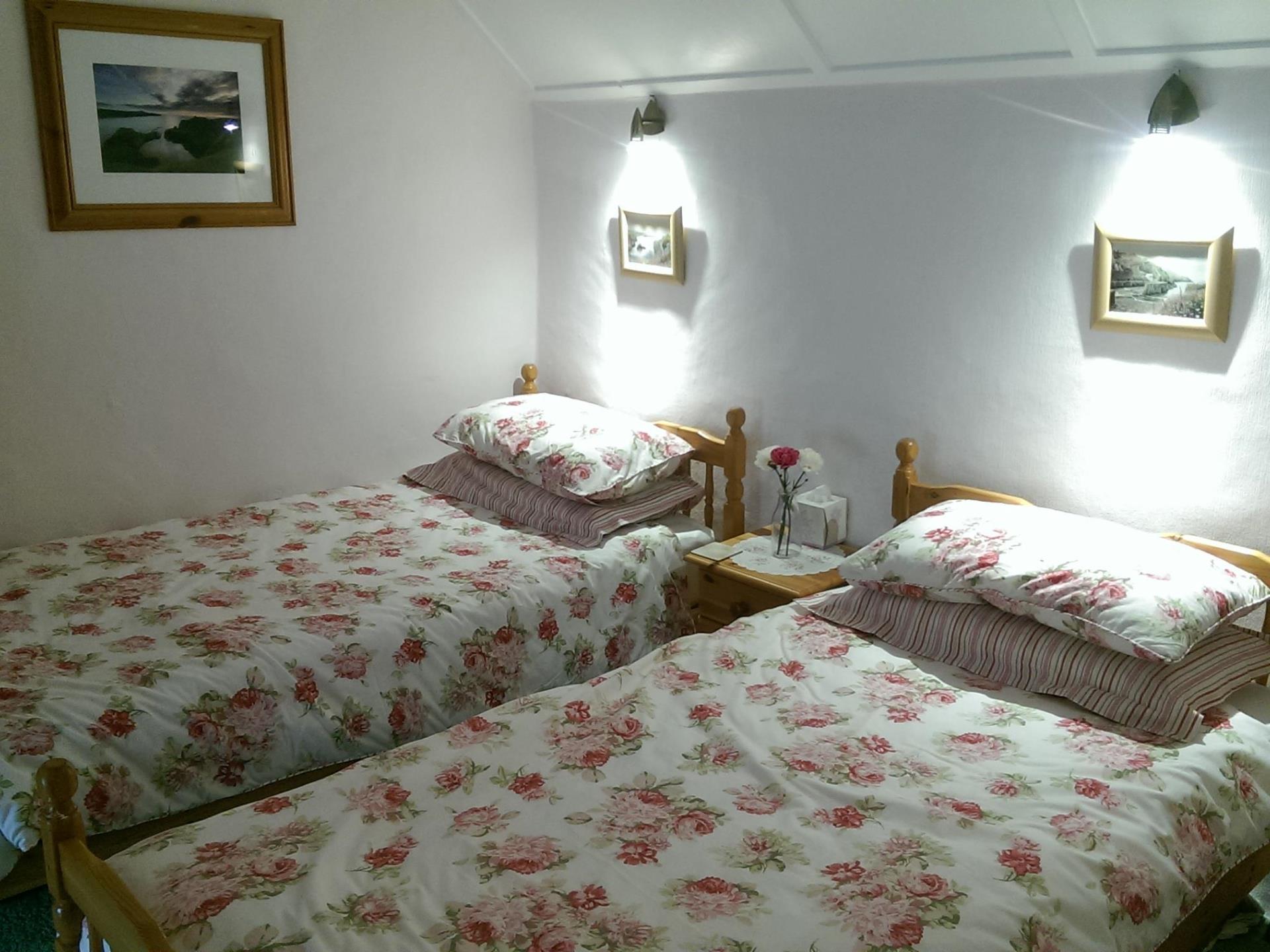 Brynteg Twin Bedroom