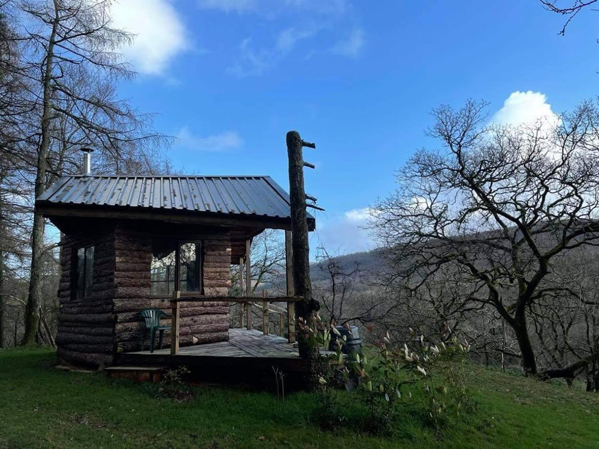 Rustic Cabin in the Woods