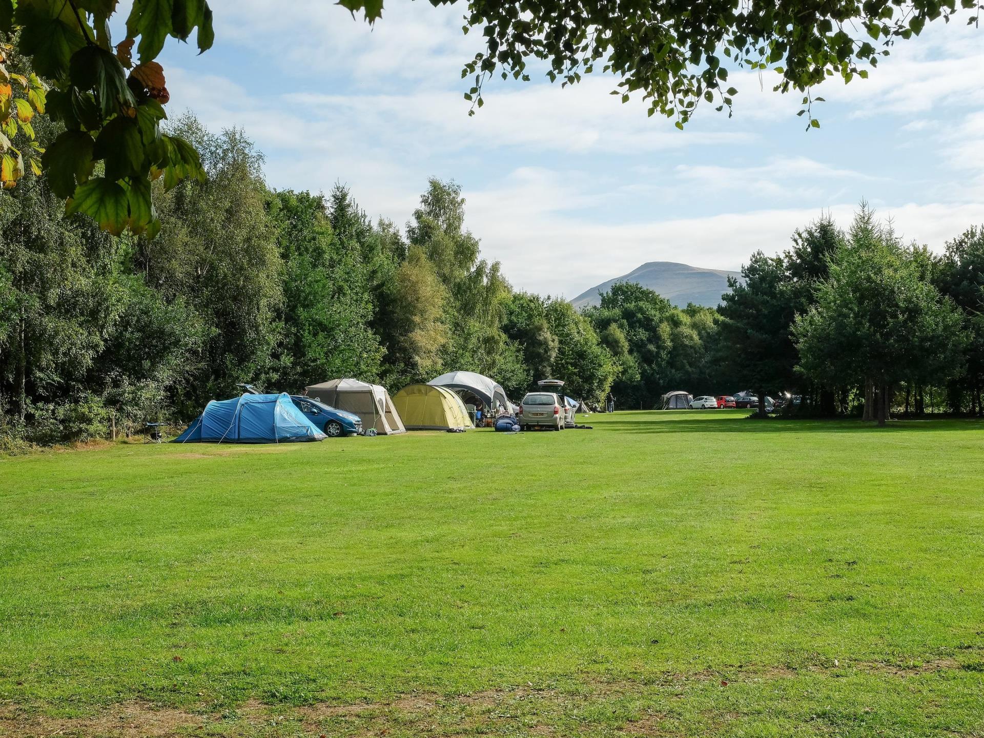 Lakeside Caravan Park - Elwyns camping field