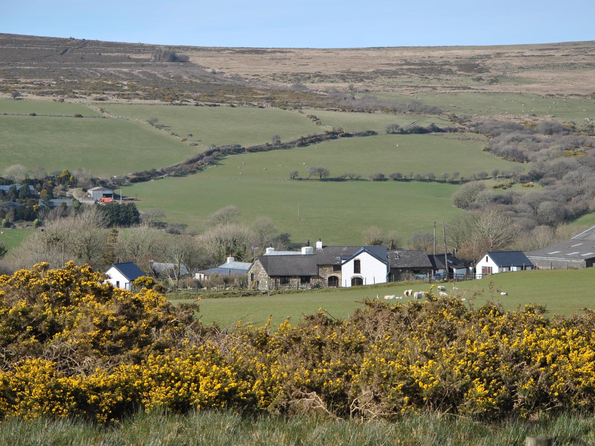 Tregynon Cottages