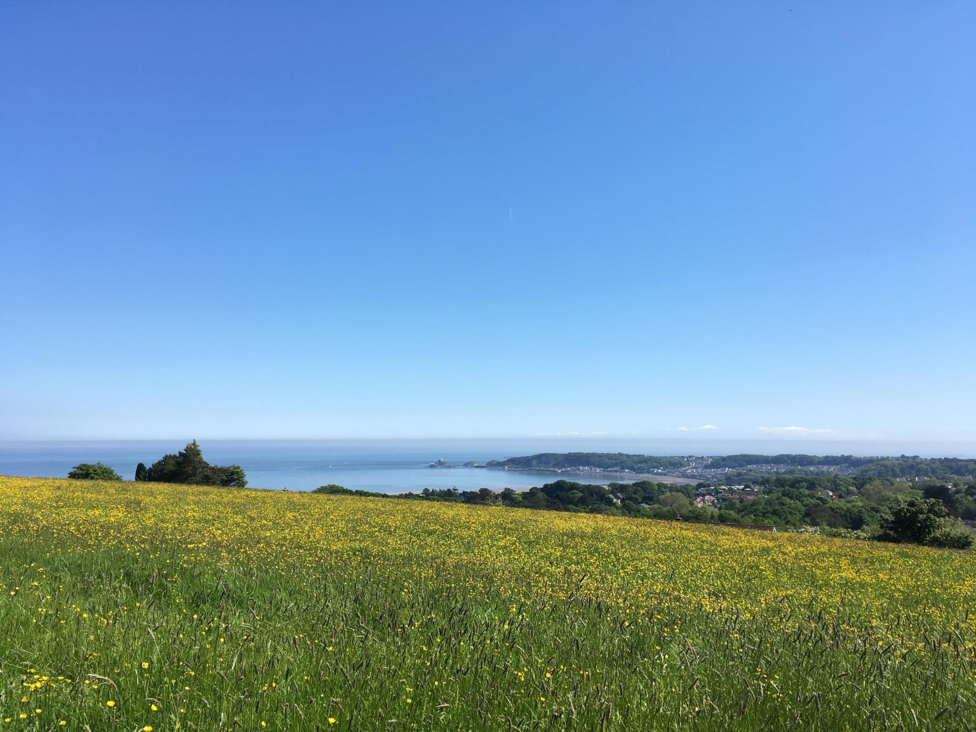 View from Clyne Farm Centre over Swansea Bay