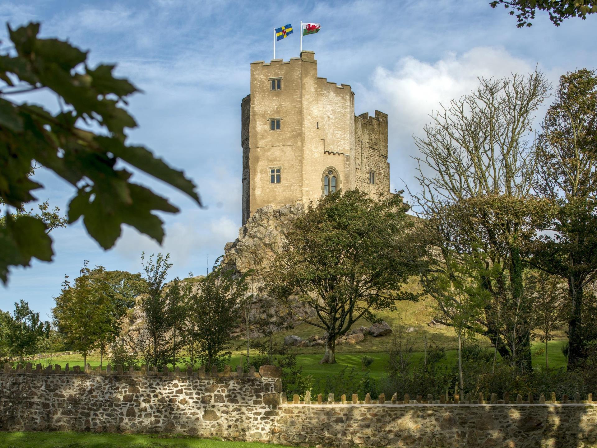 Roch Castle, View from the Village