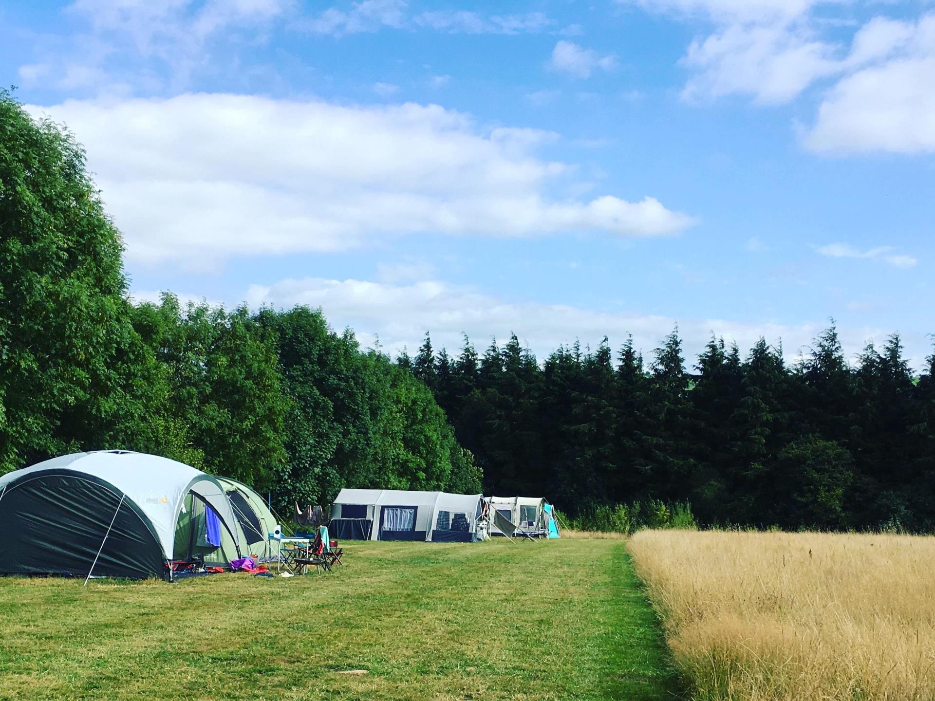 Wildflower Meadow Camping at Top of the Woods