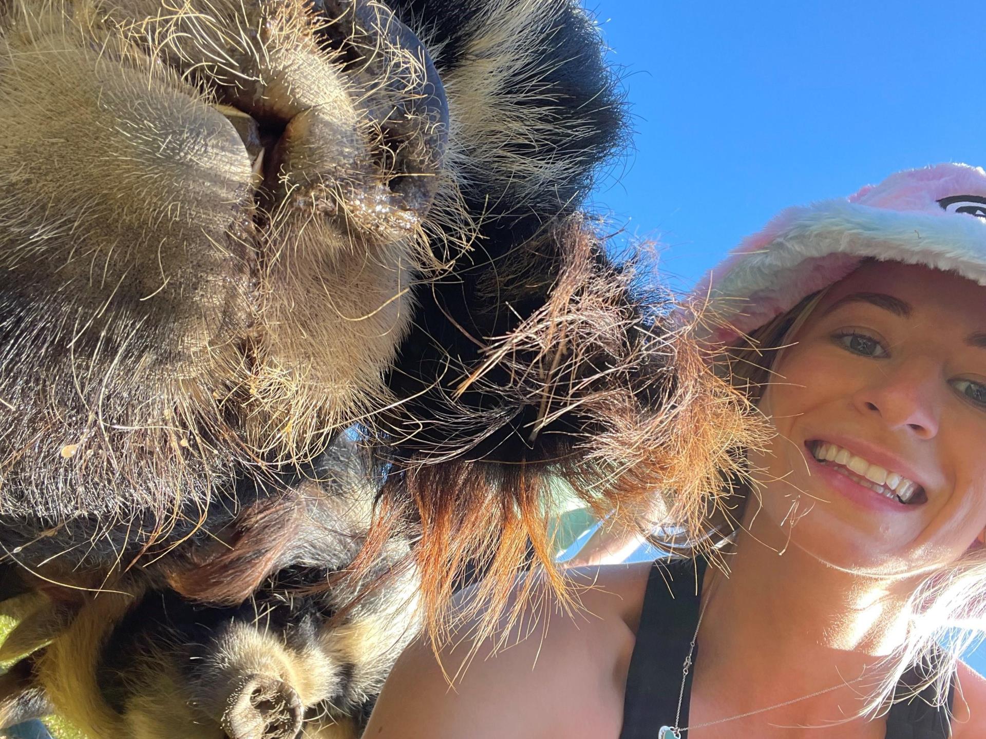 Selfies with our Kunekune pigs 