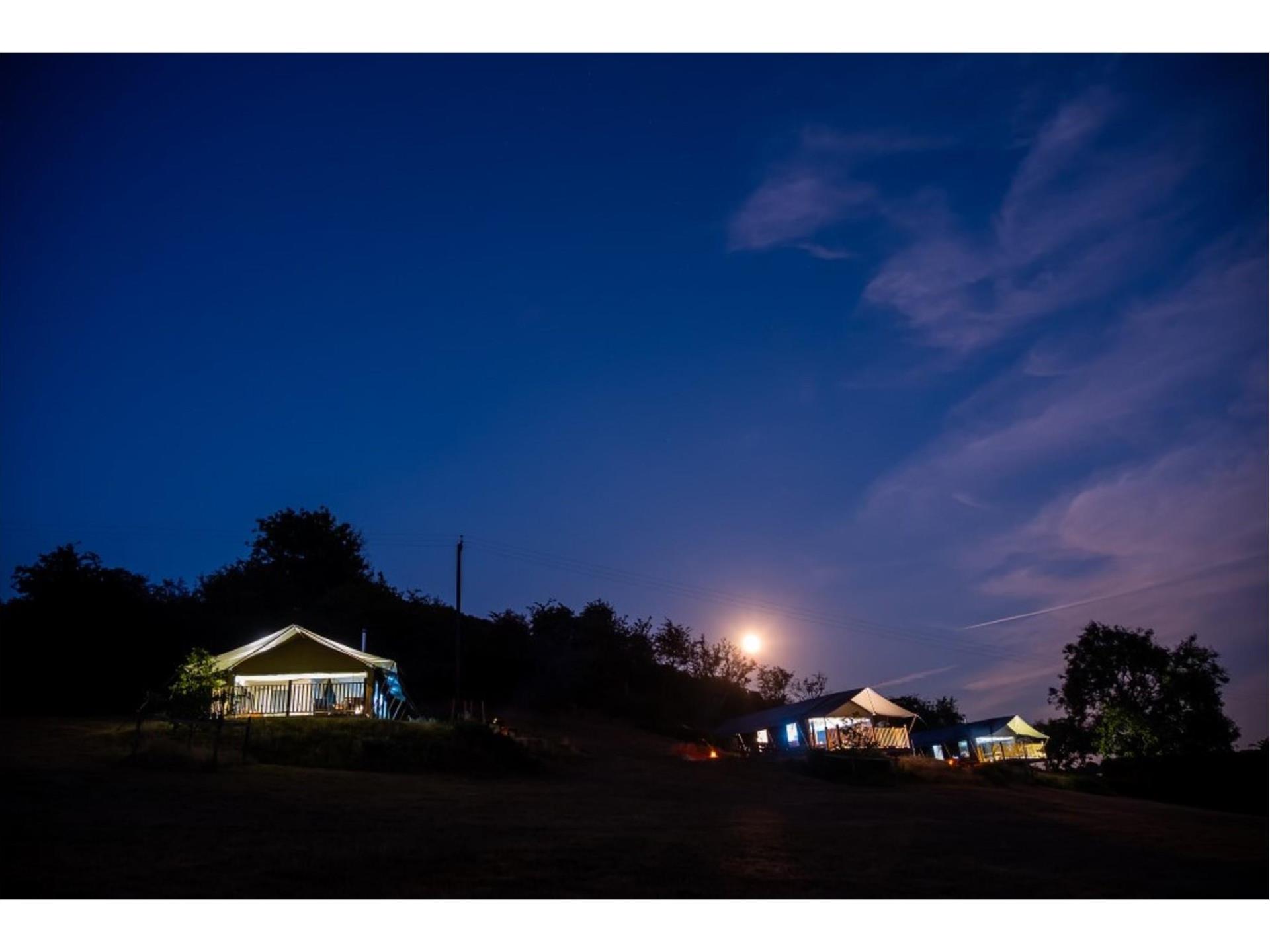 Aderyn, Afon and Seren safari tents at night 