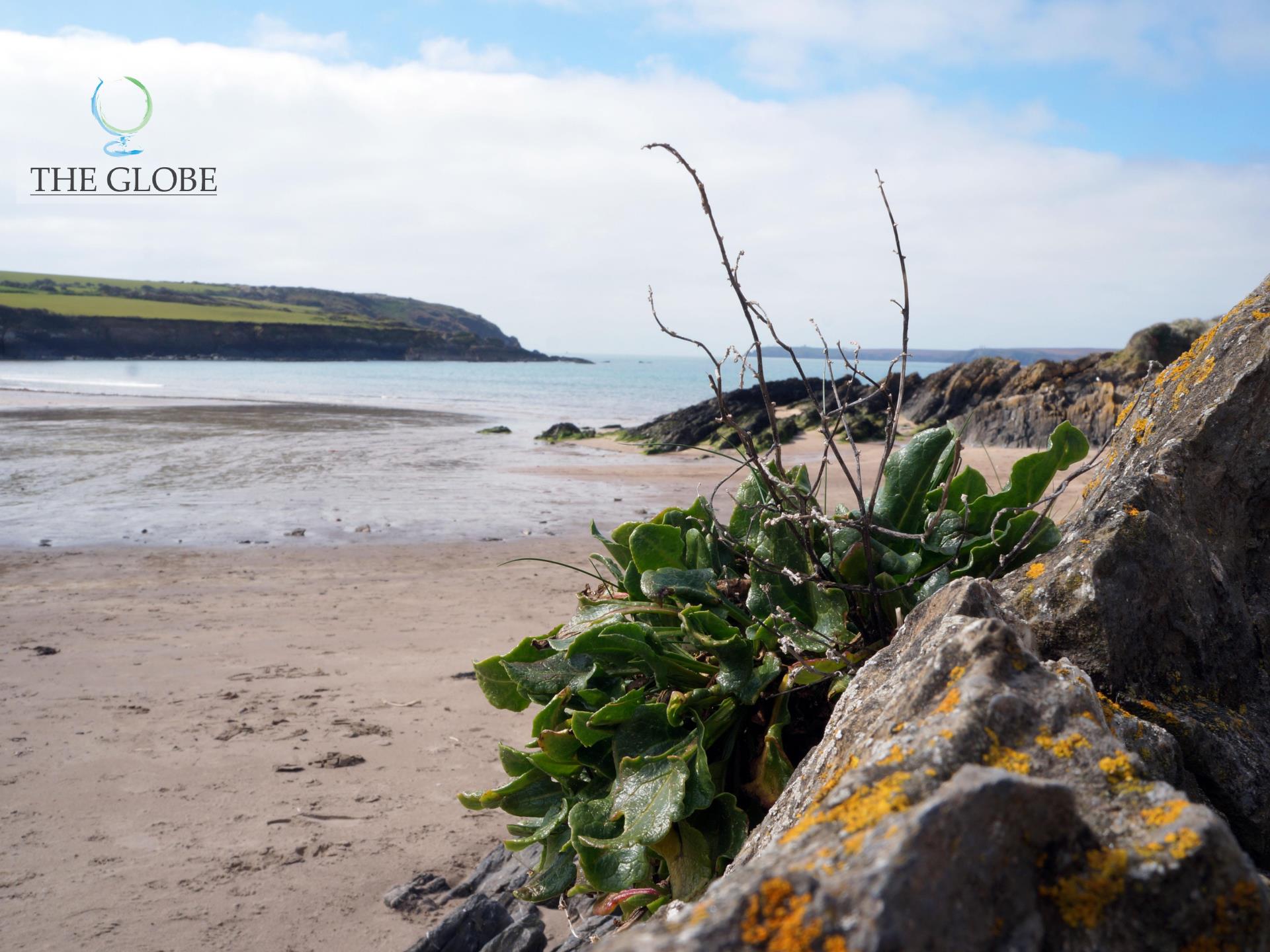 West Angle Bay - sand, rockpools, cafe