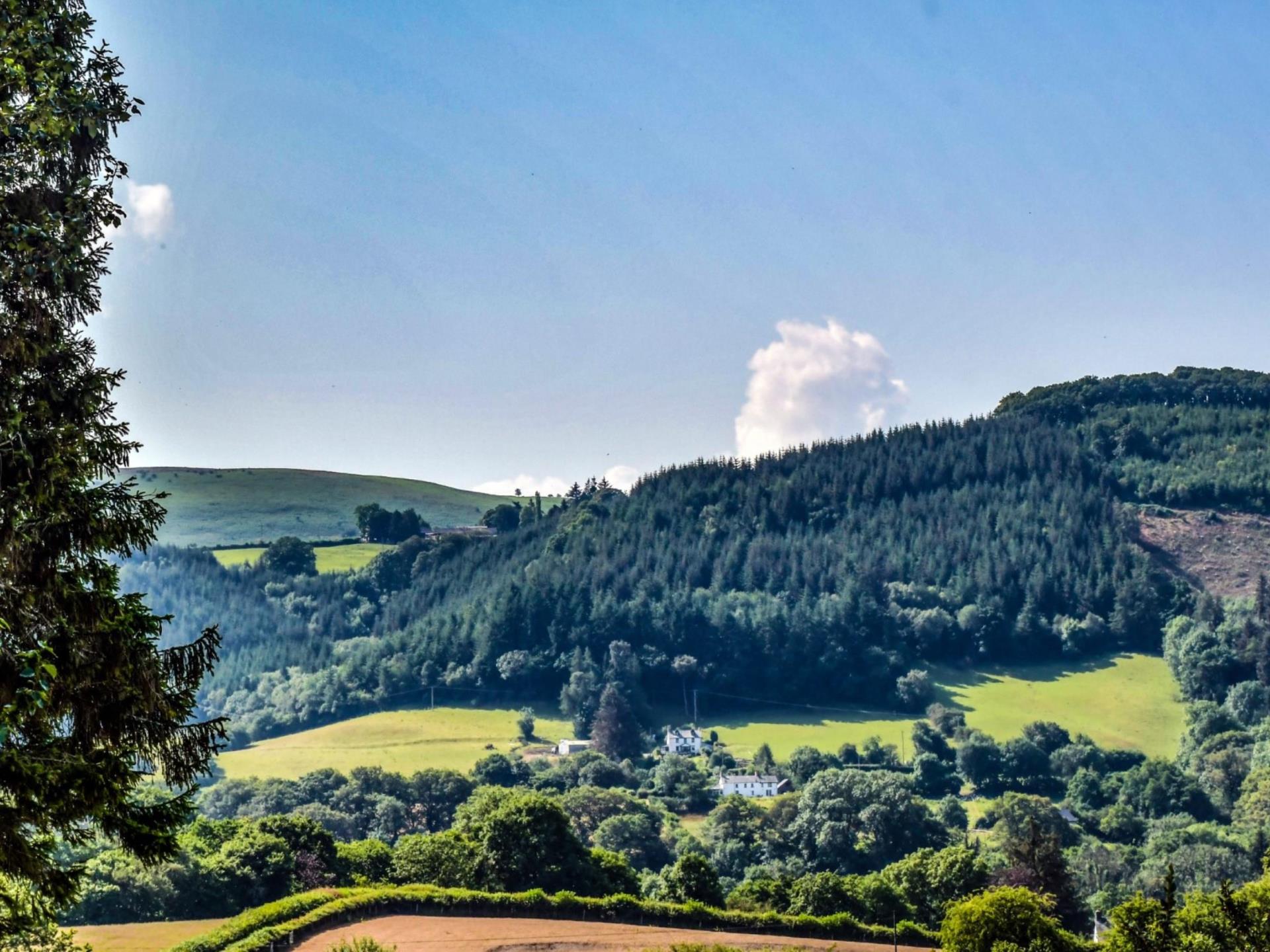 Llewelyn Holiday Park- View to woods 