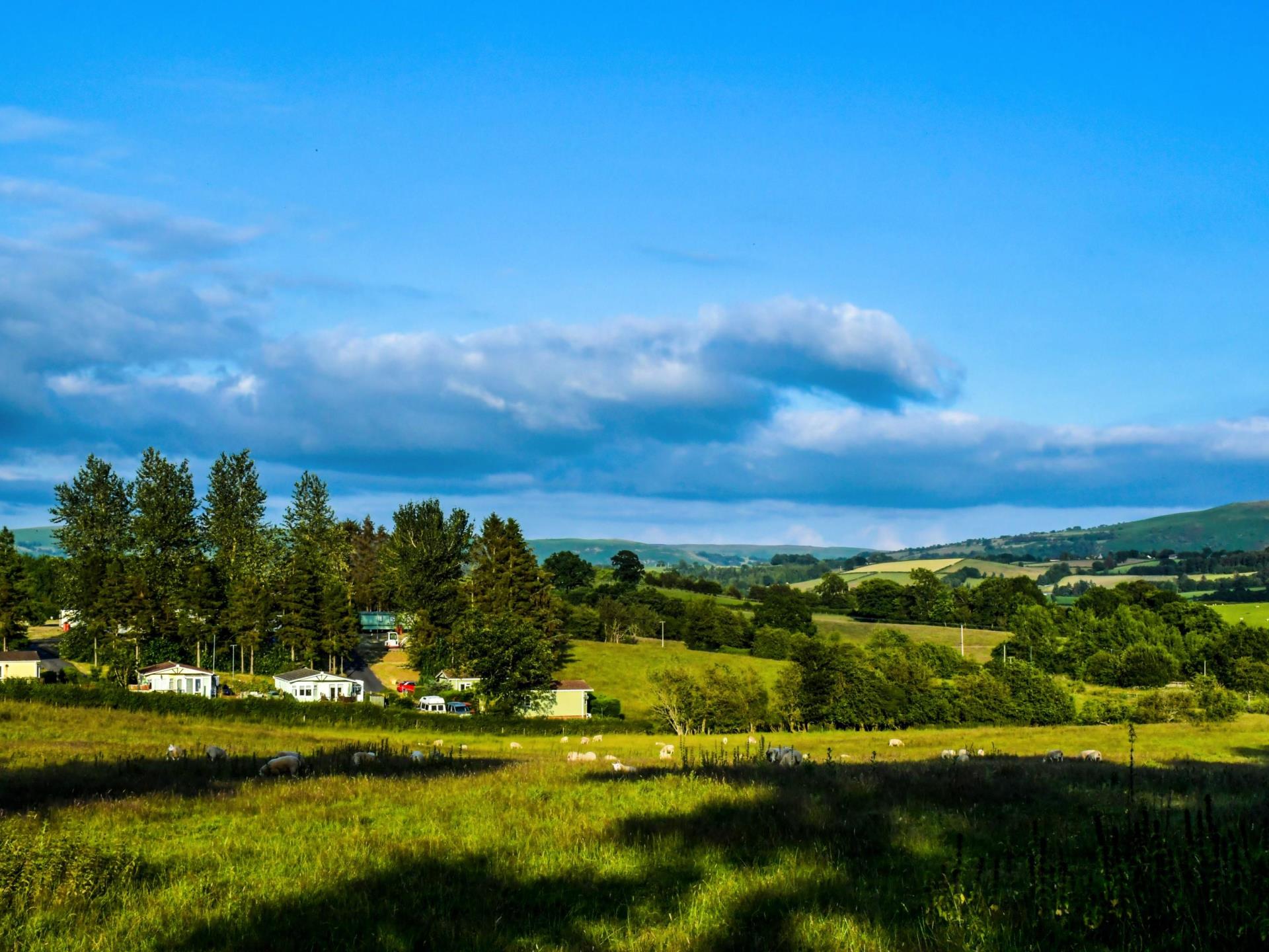 Llewelyn Holiday Park- View across the Park 