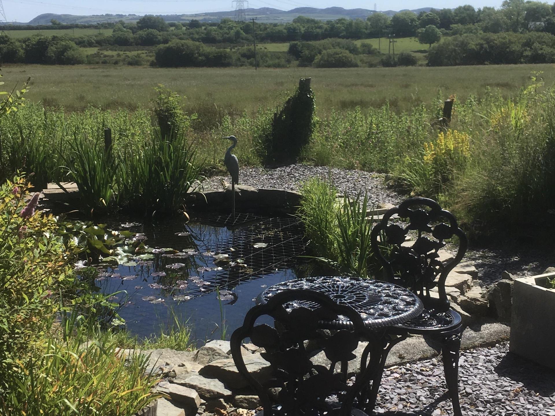 Pond view