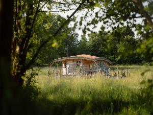 Exclusive rustic cabin surrounded by a treelined w