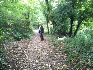 Woodland walk to beach