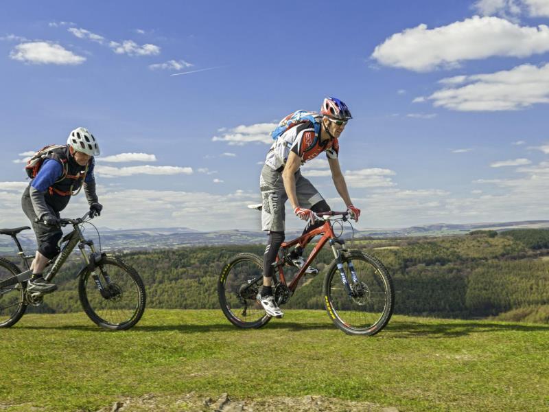 cwmcarn forest drive mountain bike trail