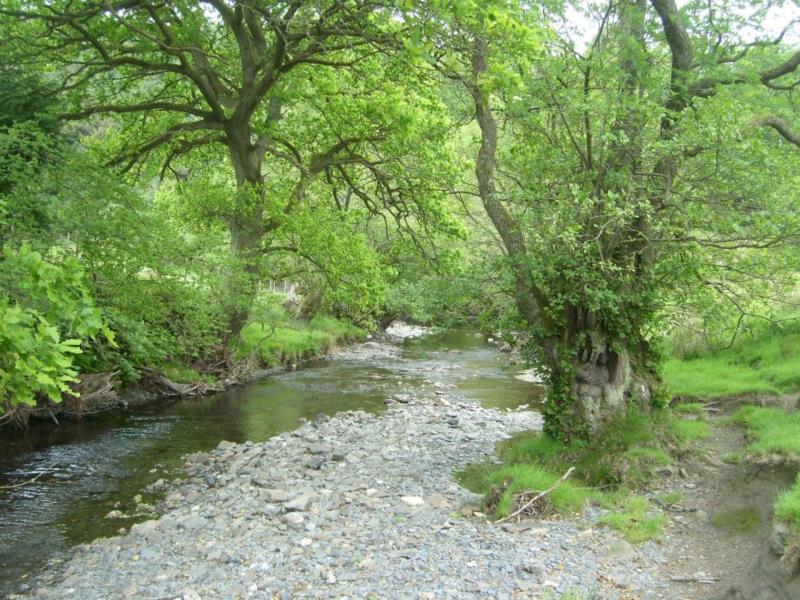 Little Meadow Park VisitWales